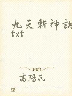 九天斩神诀林辰txt