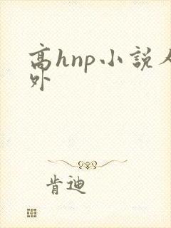 高hnp小说人外