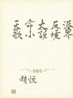 天命大反派顾长歌小说境界划分