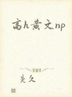 高h黄文np