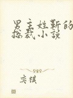 男主姓靳的霸道总裁小说