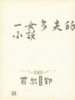 一女多夫的完结小说