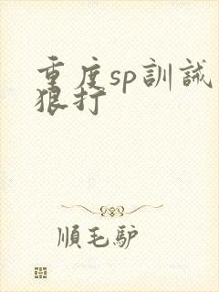 重度sp训诫文狠打