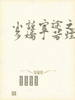 小说官途之红颜多娇丁若烟在线阅读