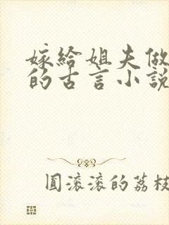 嫁给姐夫做继室的古言小说