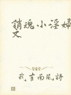 销魂小淫妇高h文封面