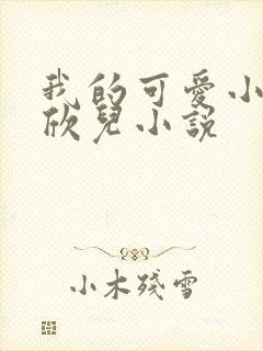 我的可爱小娇妻欣儿小说