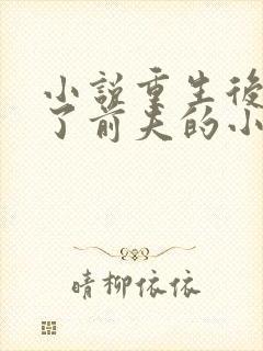 小说重生后我成了前夫的小舅娘