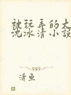 被玩弄的大小姐沈冰清小说封面