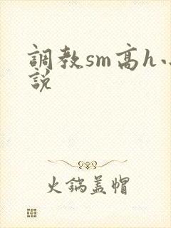 调教sm高h小说