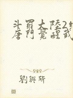 斗罗大陆2绝世唐门觉醒武魂