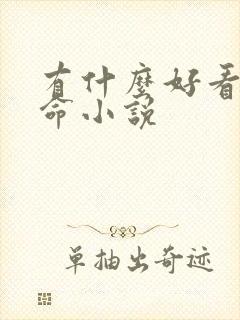 有什么好看的算命小说