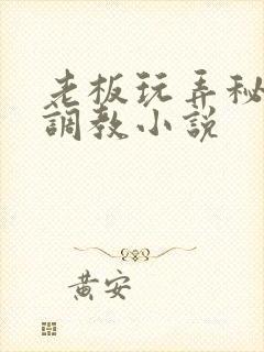 老板玩弄秘书h调教小说