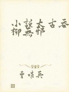 小说太古吞天诀柳无邪