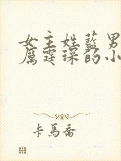 女主姓蓝男主叫厉霆琛的小说