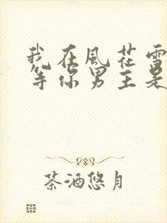 我在风花雪月里等你男主是谁