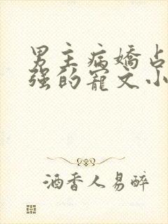 男主病娇占有欲强的宠文小说推荐