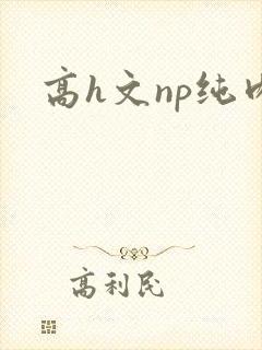 高h文np纯肉封面
