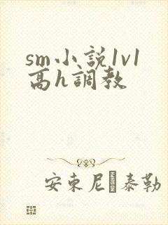 sm小说1v1高h调教
