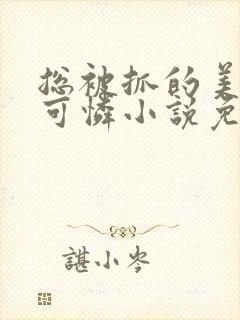 总被抓的美貌小可怜小说免费阅读