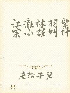 江澈林羽紫霄剑宗小说叫什么