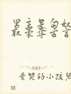 男主是匈奴的强取豪夺古言