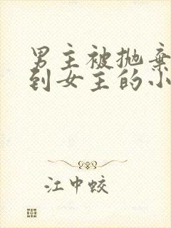 男主被抛弃后遇到女主的小说