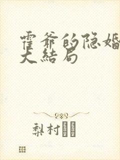 霍爷的隐婚暖妻大结局封面