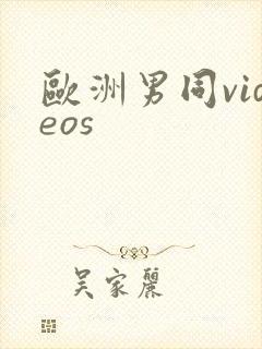 欧洲男同videos封面