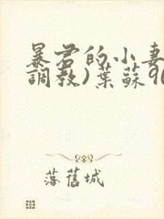 暴君的小妻奴(调教)叶苏90