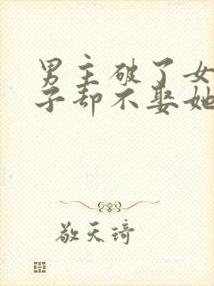 男主破了女主身子却不娶她的小说封面