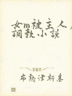 女m被主人虐菊调教小说封面