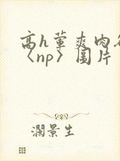高h荤爽肉欲文〈np〉图片封面