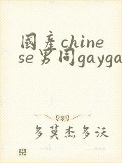 国产chinese男同gaygay网站