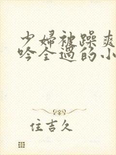 少妇被躁爽到呻吟全过的小说封面