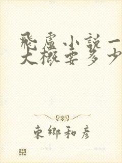 飞卢小说一本书大概要多少钱封面