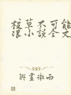 校草不可能这么浪小说全文免费阅读