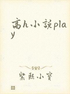 高h小说play