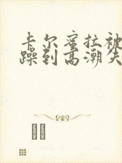 卡尔蜜拉被狂c躁到高潮失禁小说