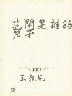 范闲是谁的亲生儿子封面