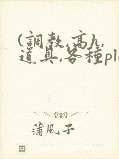 (调教,高h,道具,各种play)文