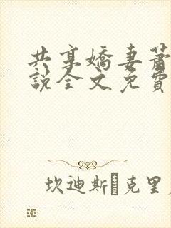 共享娇妻萧雅小说全文免费阅读封面