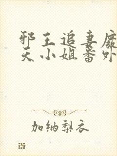 邪王追妻废材逆天小姐番外篇