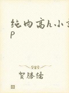 纯肉高h小说np