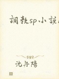调教sp小说h