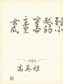 女主穿越到古代成皇帝的小说封面