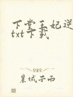 下堂王妃逆袭记txt下载