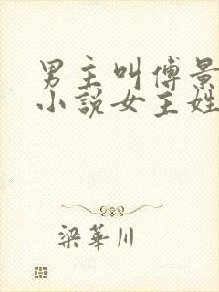 男主叫傅景琛的小说女主姓夏