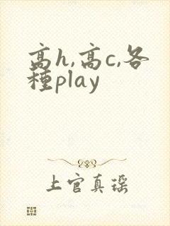 高h,高c,各种play