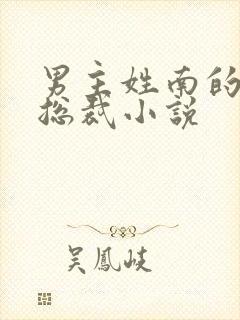 男主姓南的霸道总裁小说